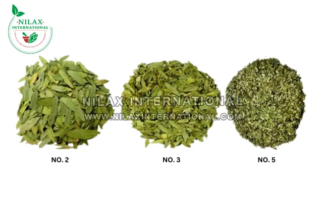 Senna Leaves No. 2, 3 & 5
