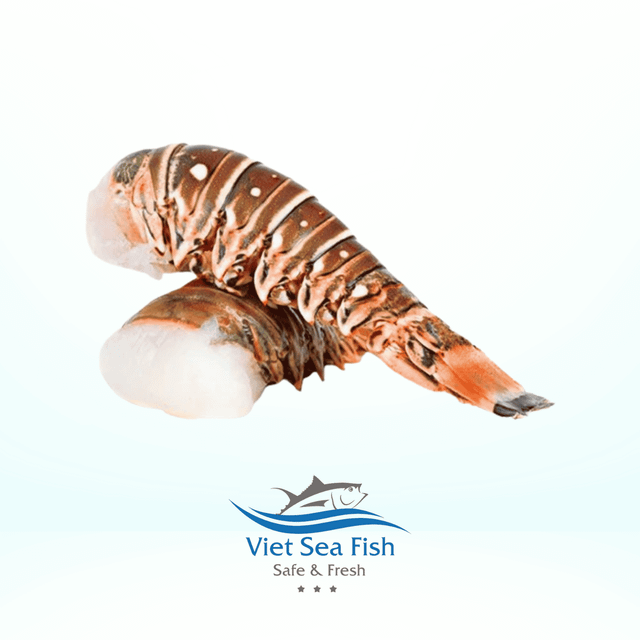 Spini Lobster Tail Product 2