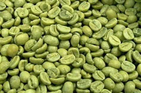 Arabica and Robusta Coffee Beans