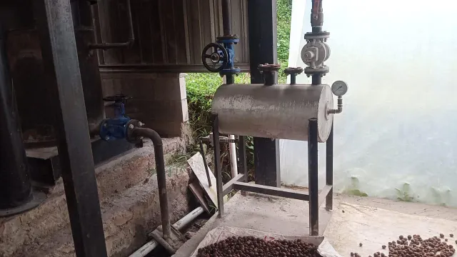 Nutmeg Extraction Process