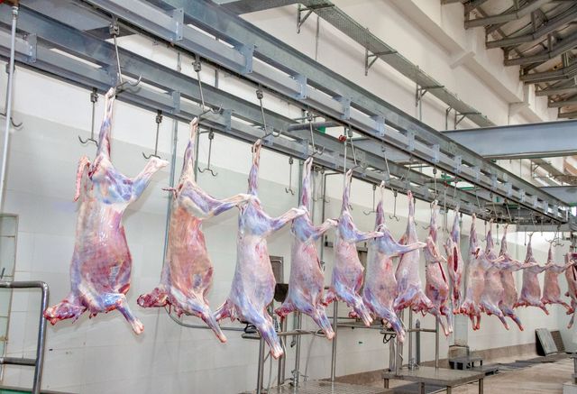 Fresh Goat Meat