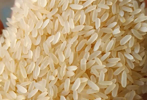 Quality Indian rice grains