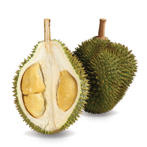 D24 XO Durian