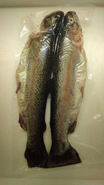 Prepared Trout Cut Image 3