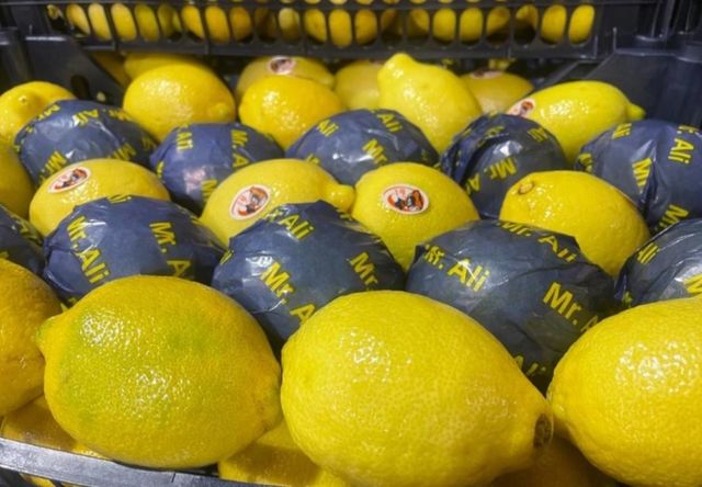 Fresh Lemon