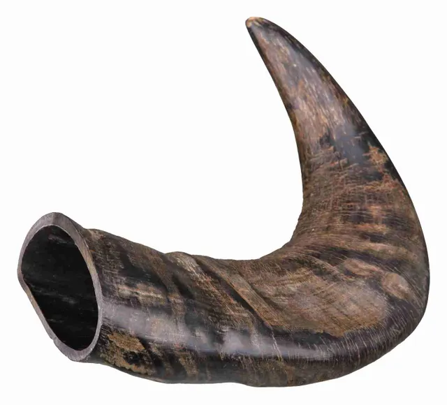 Horn Dog Chew Image 1