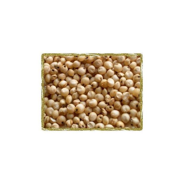 Bulk Sorghum Grain