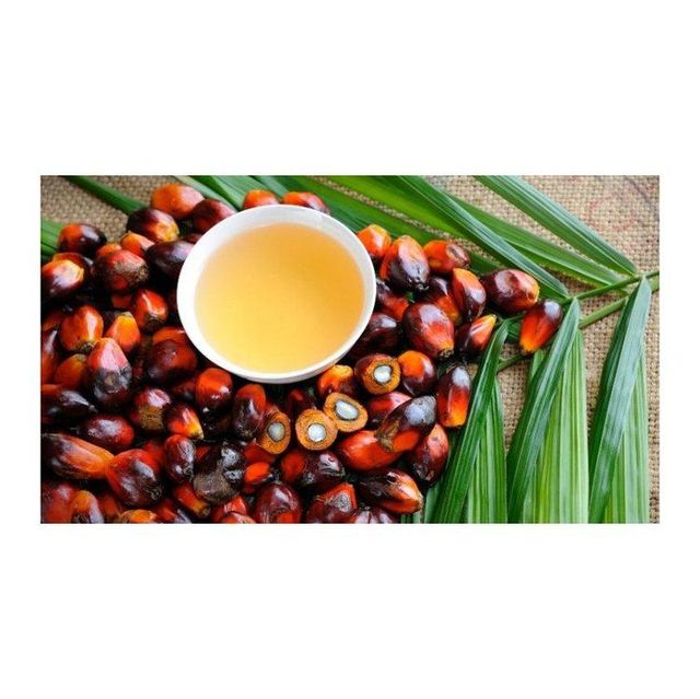 Top Grade Palm Oil - Olein CP10