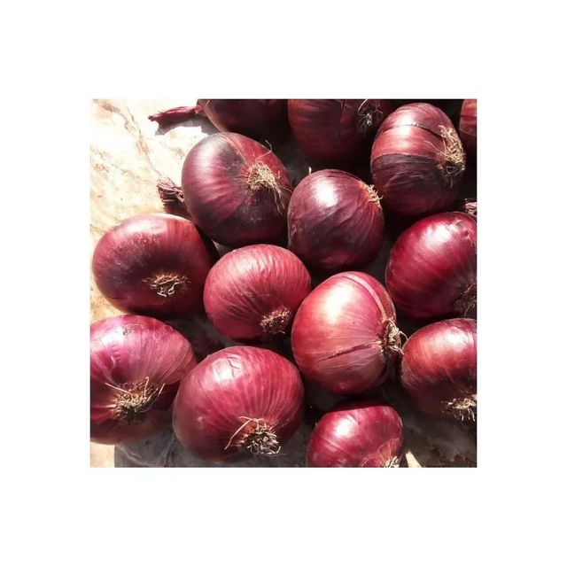 Big Red Onion