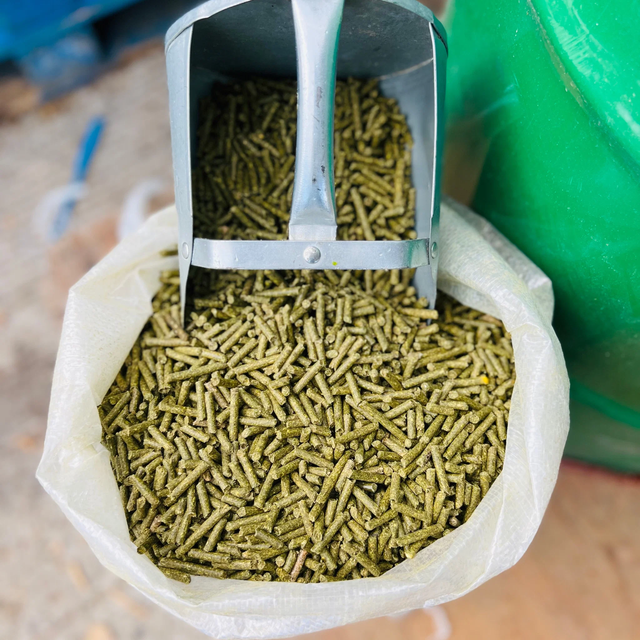 Quality Dehydrated Alfalfa Pellets Image 2