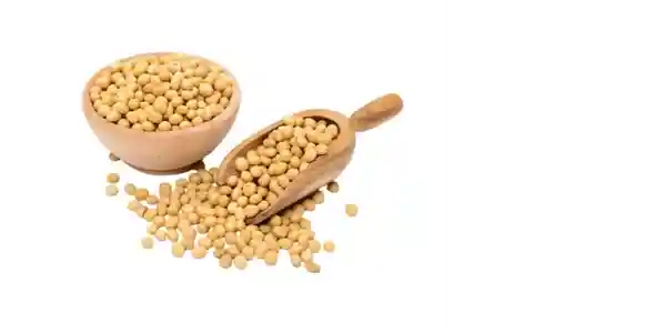 Premium Soybeans