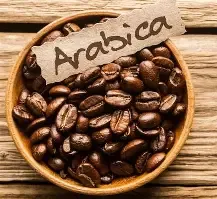 Vietnamese Arabica Coffee Beans Product Image