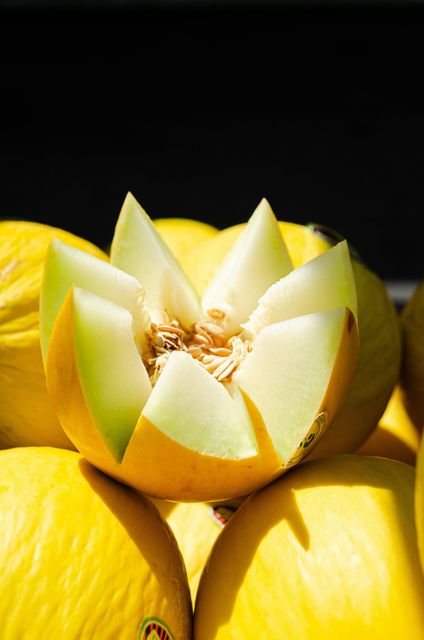Italian Cantaloupe
