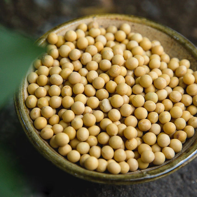 Non-GMO Soybeans
