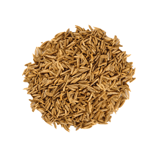 Cumin Seed Image 3