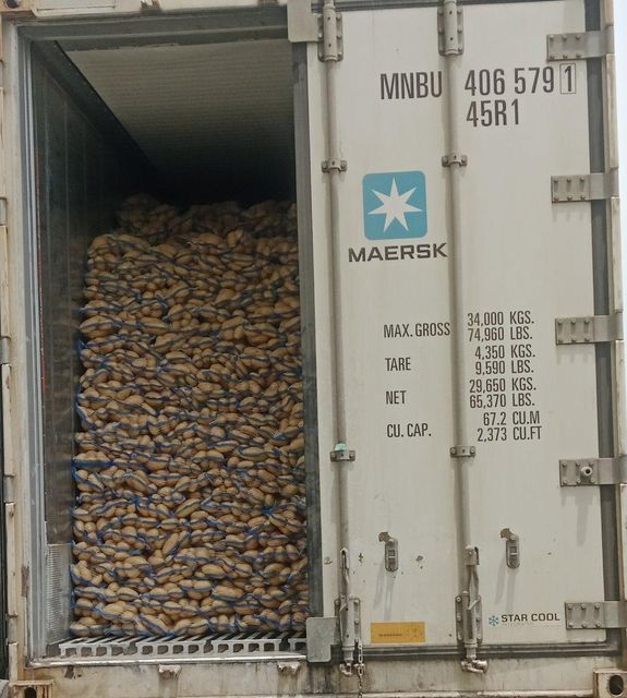 Fresh Potato Product