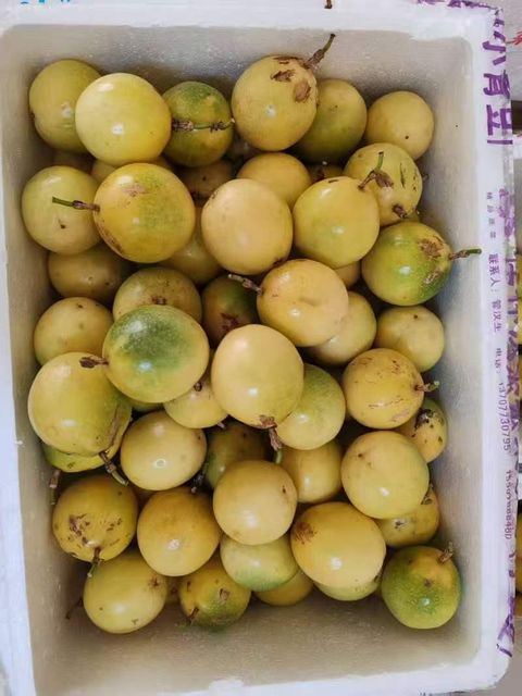 Passion Fruit Juice