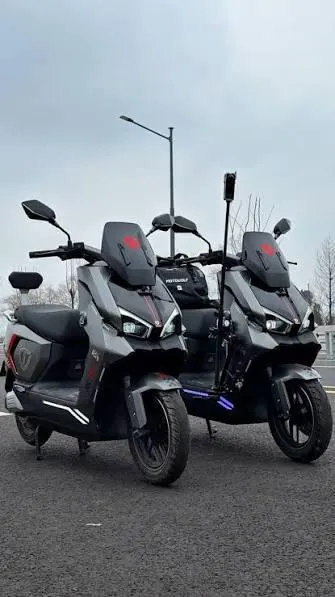 Electric Scooter top view