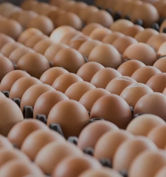 Fresh brown eggs arranged in an egg carton