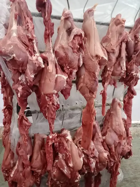 Close-up of frozen buffalo meat slices