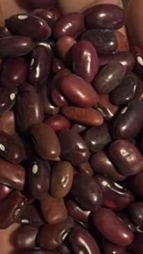 Red Kidney Beans Image 1