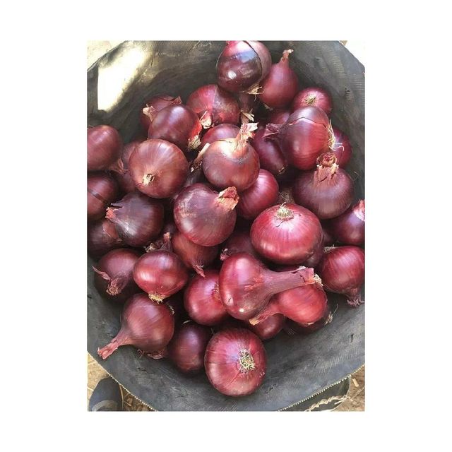 Fresh Red Grade Onion