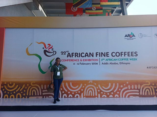 Kenya Arabica Green Coffee Bean