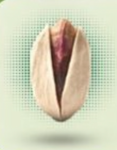 Ahmad Aghaei Pistachio In Shell