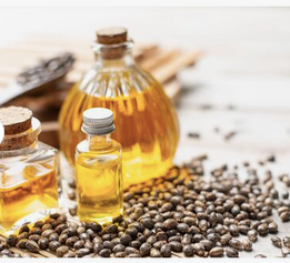Brown Dried Castor Seed
