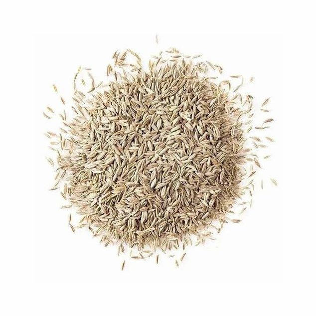 Cumin Seed Image 2