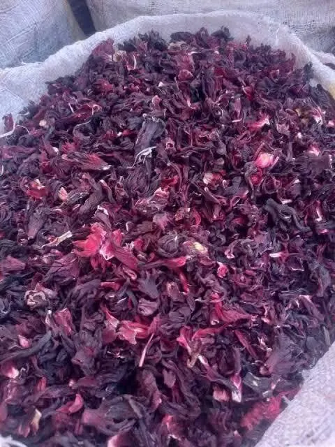 Pile of export grade dried hibiscus calyces
