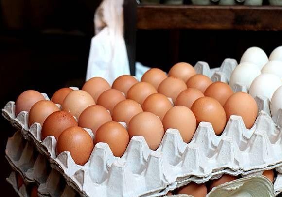 Cooked Chicken Table Egg with Brown Shell