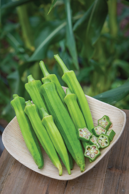 Bulk Okra Pack