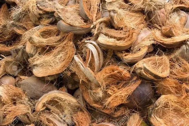 Wholesale Coconut Husk Product Image 1