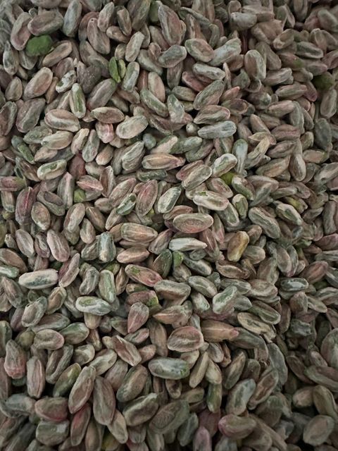 Pistachio Kernel and Shelled Nut