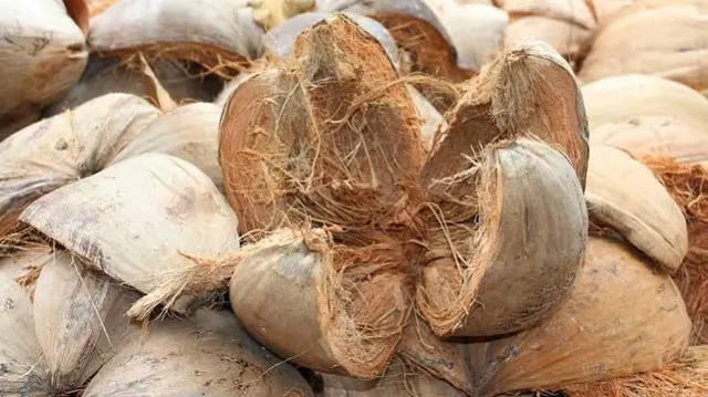 Wholesale Coconut Husk Product Image 3