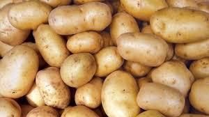 Potato Product 1
