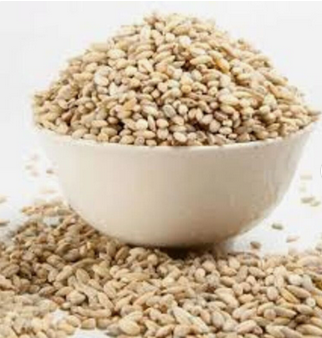 Premium Barley Seeds