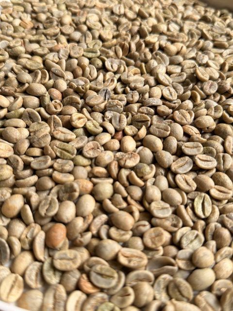 Arabica Green Beans AAA