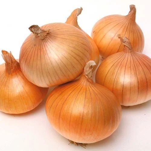 Yellow Onion 1