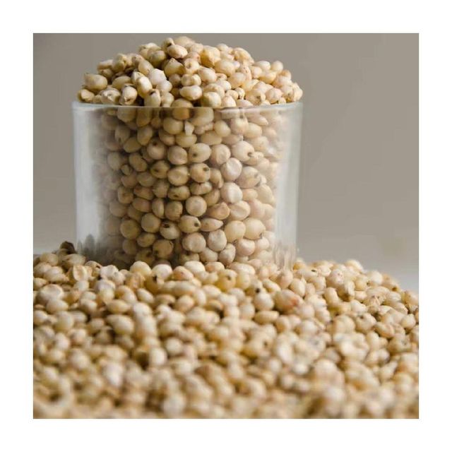 Organic Sorghum Grain