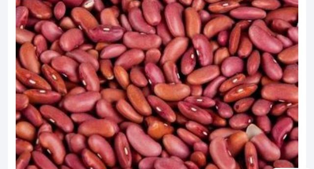 High Quality Kidney Beans