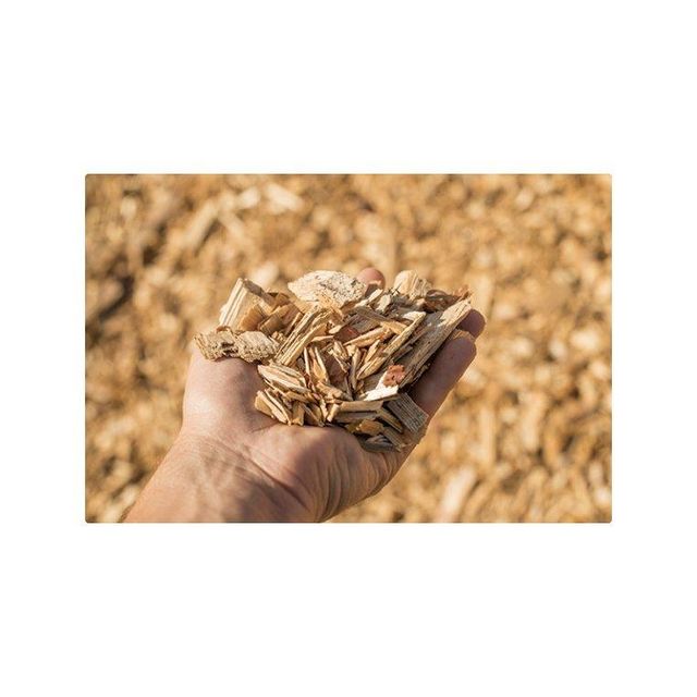 Wood Shavings 3