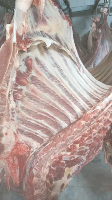 Bull Beef Meat Slices