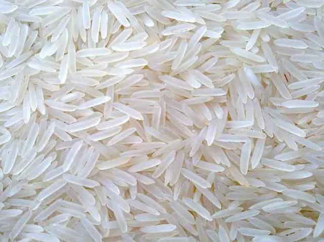 Close-up view of 1121 Basmati Rice grains