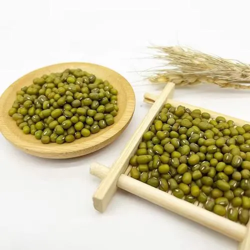 Green Mung Beans 2