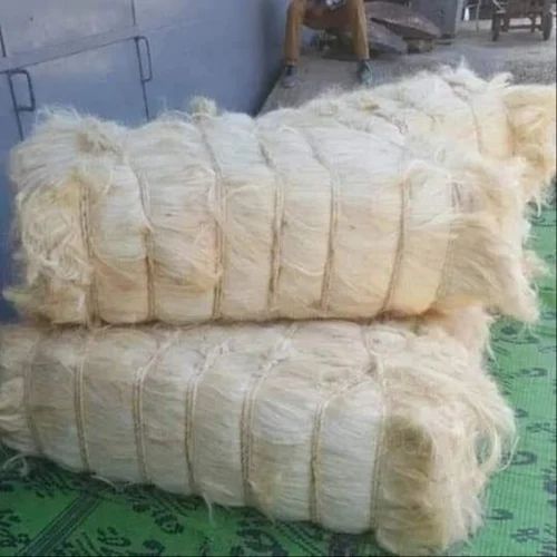 Sisal Fiber 5