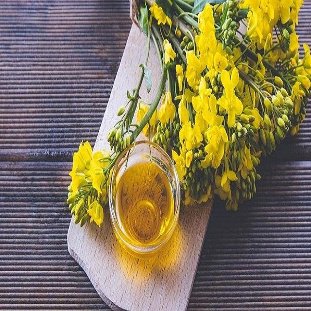 Fractionated Canola Oil for Cooking