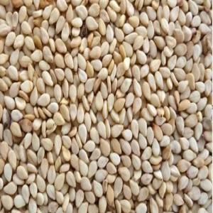 Sesame Seed Product 1