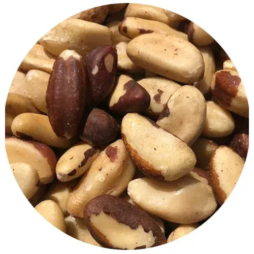 Brazil Nuts 5